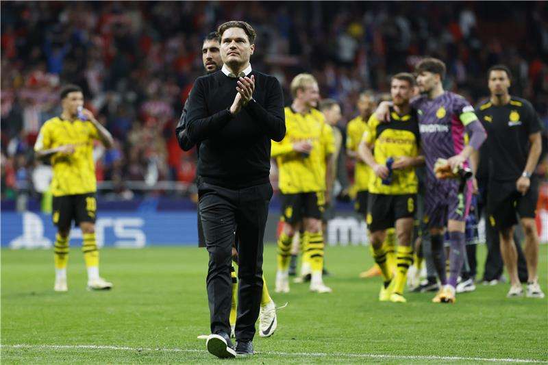 إدين تيرزيتش