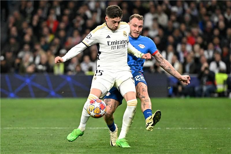 فيدي فالفيردي