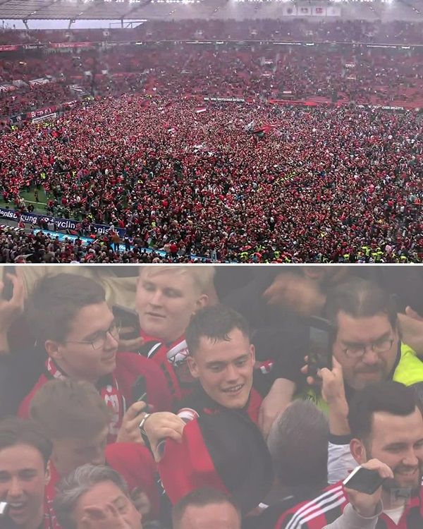 bayer%20levr