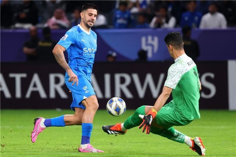 ألكسندر ميتروفيتش