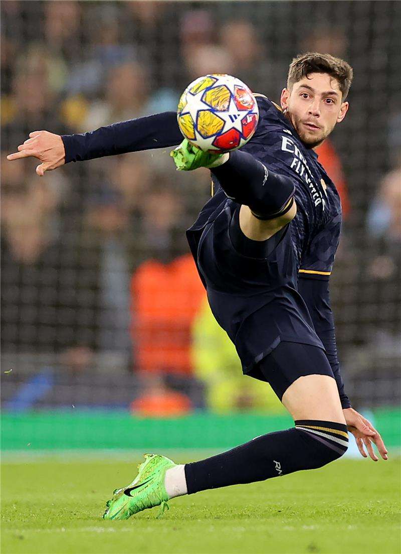 فيدي فالفيردي