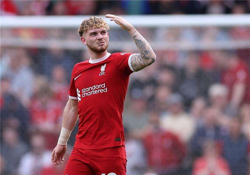 هارفي إليوت