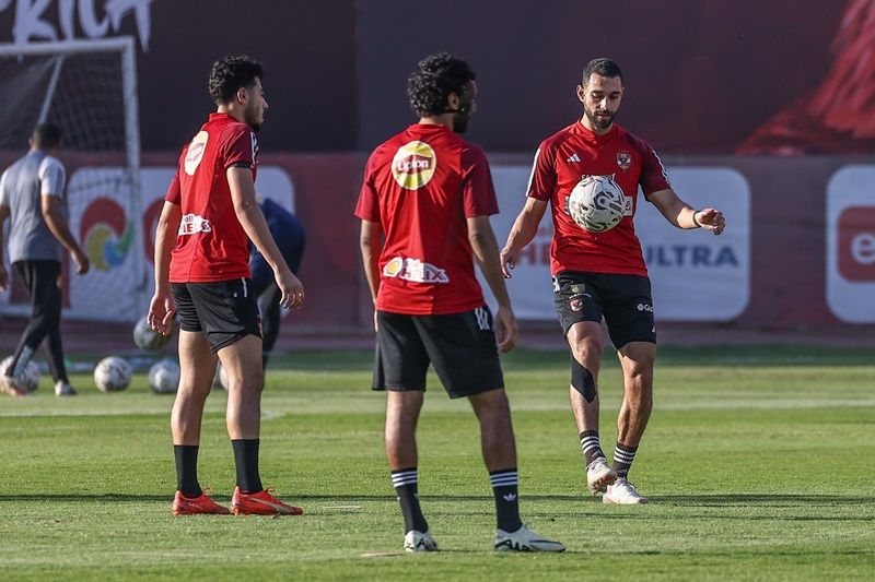 عمرو السولية