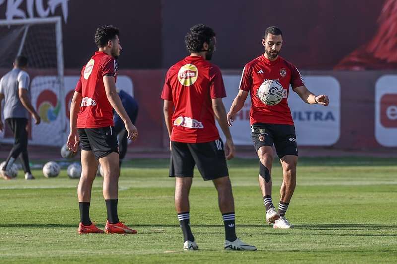 عمرو السولية