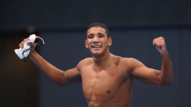 أحمد أيوب الحفناوي