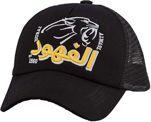 61tvkUiiAHL._AC_SX522_