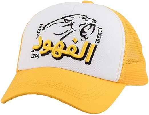 61UbJU0CwFL._AC_SX522_