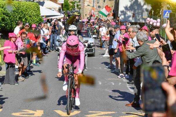 تاديج بوجاكار