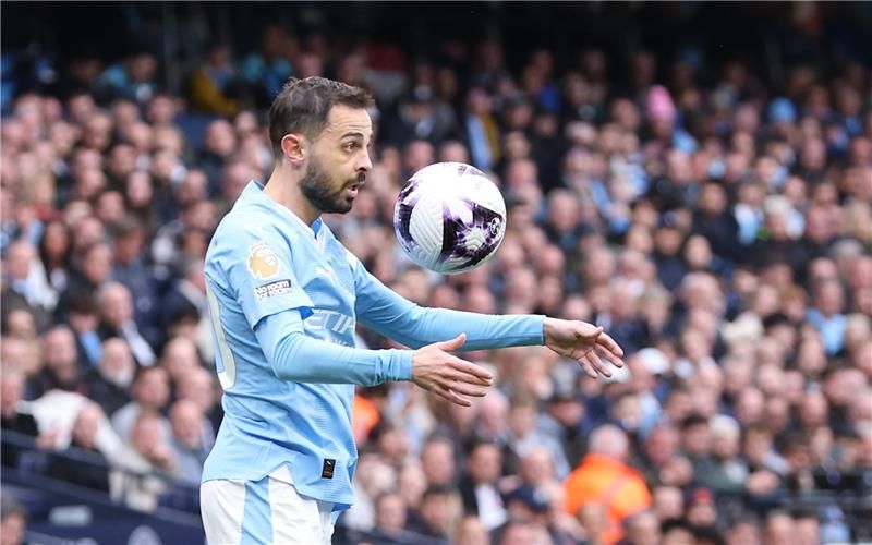 برناردو سيلفا