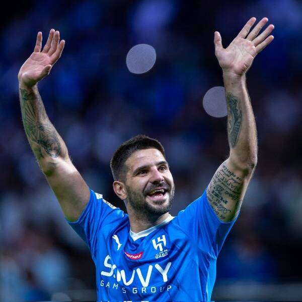 ألكسندر ميتروفيتش