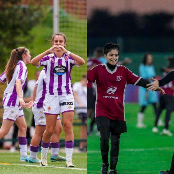 النورس وبلد الوليد