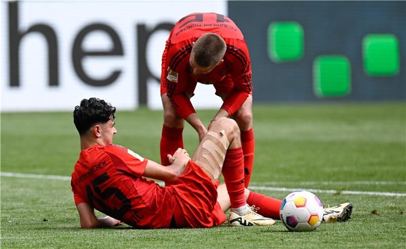 ألكسندر بافلوفيتش