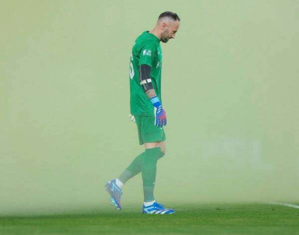 دافيد أوسبينا