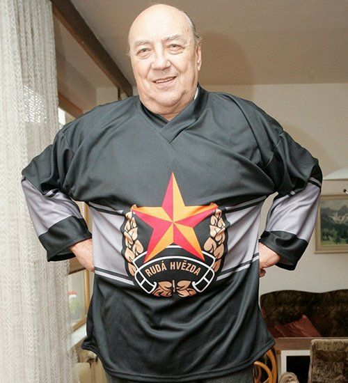 فلاستيميل بوبنيك