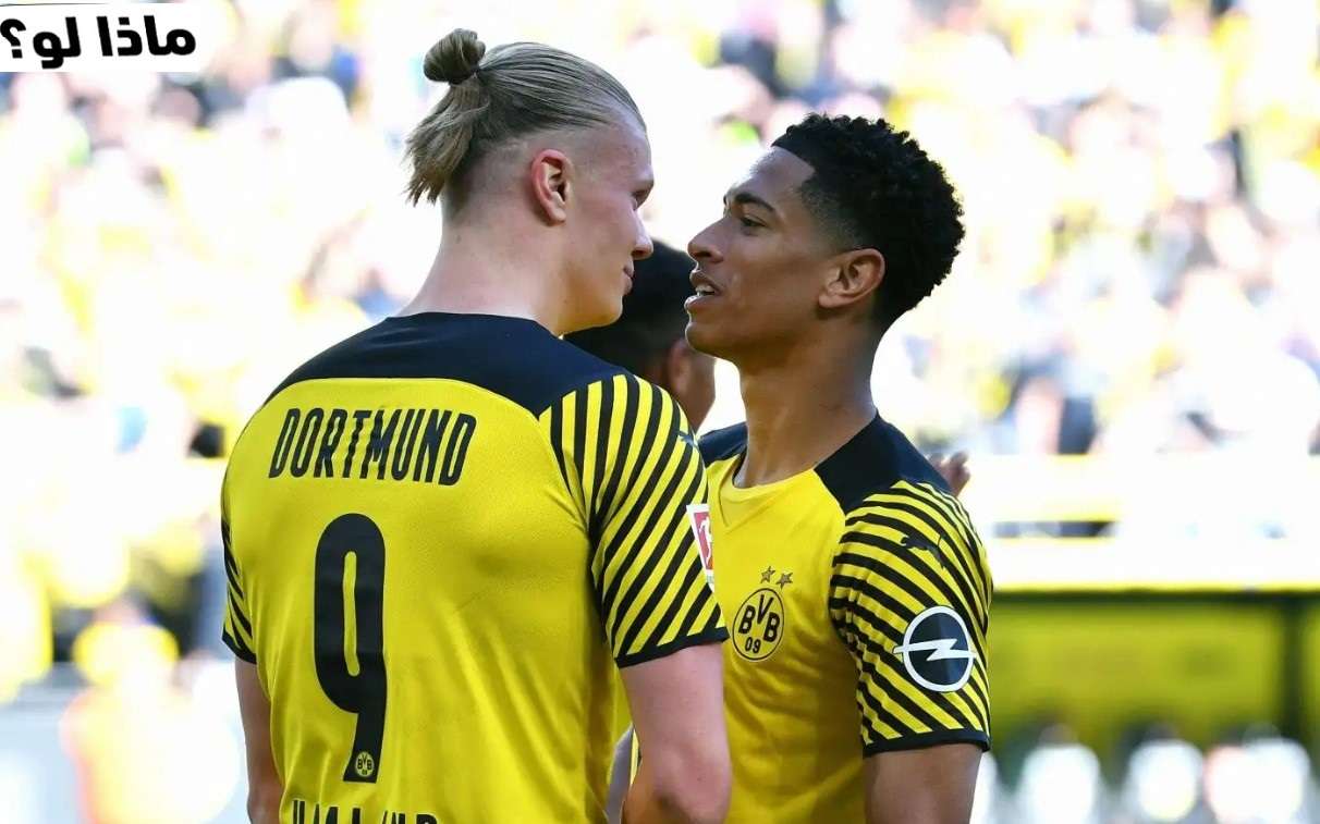 screenshot 2024-05-239 090356