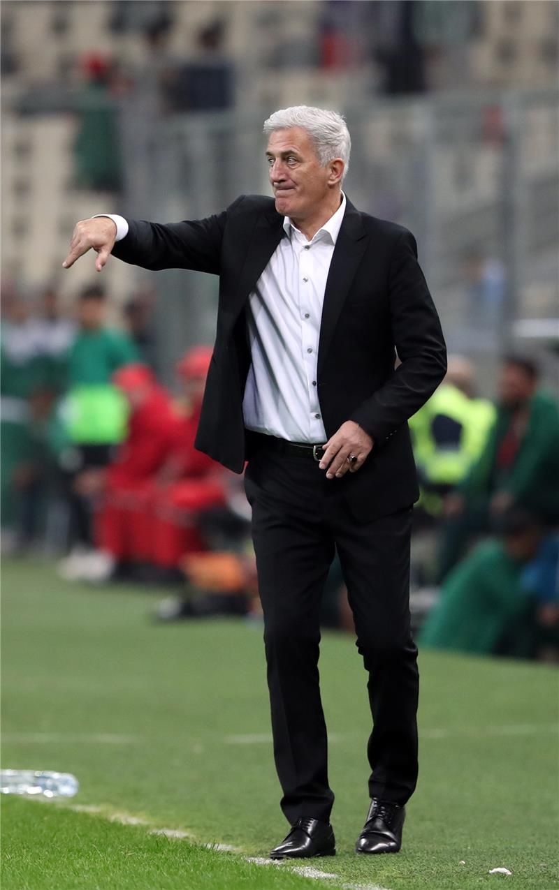 فلاديمير بيتكوفيتش