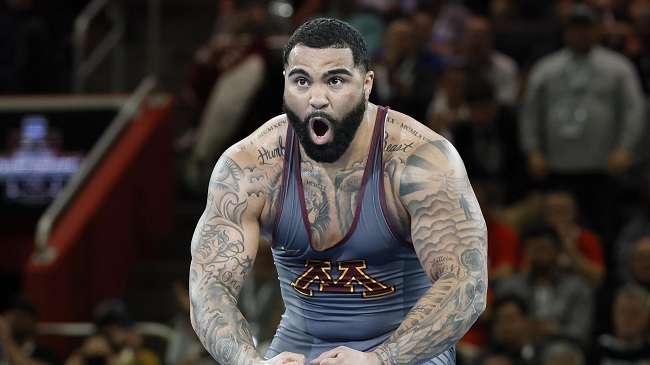 جابل ستيفسون