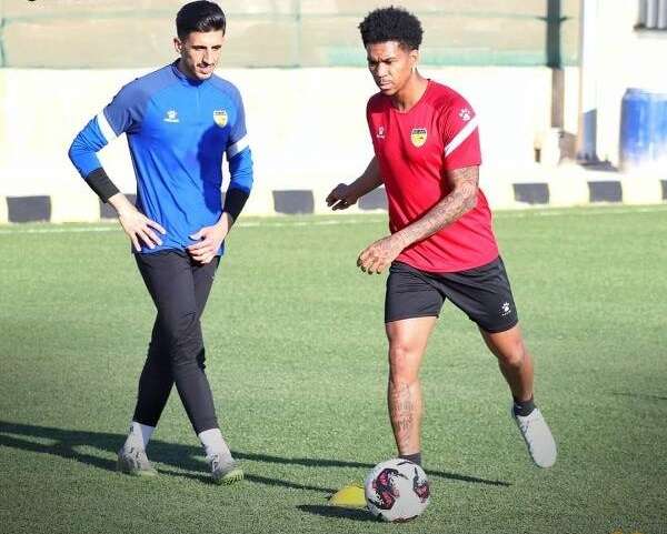 فرناندو ناثان