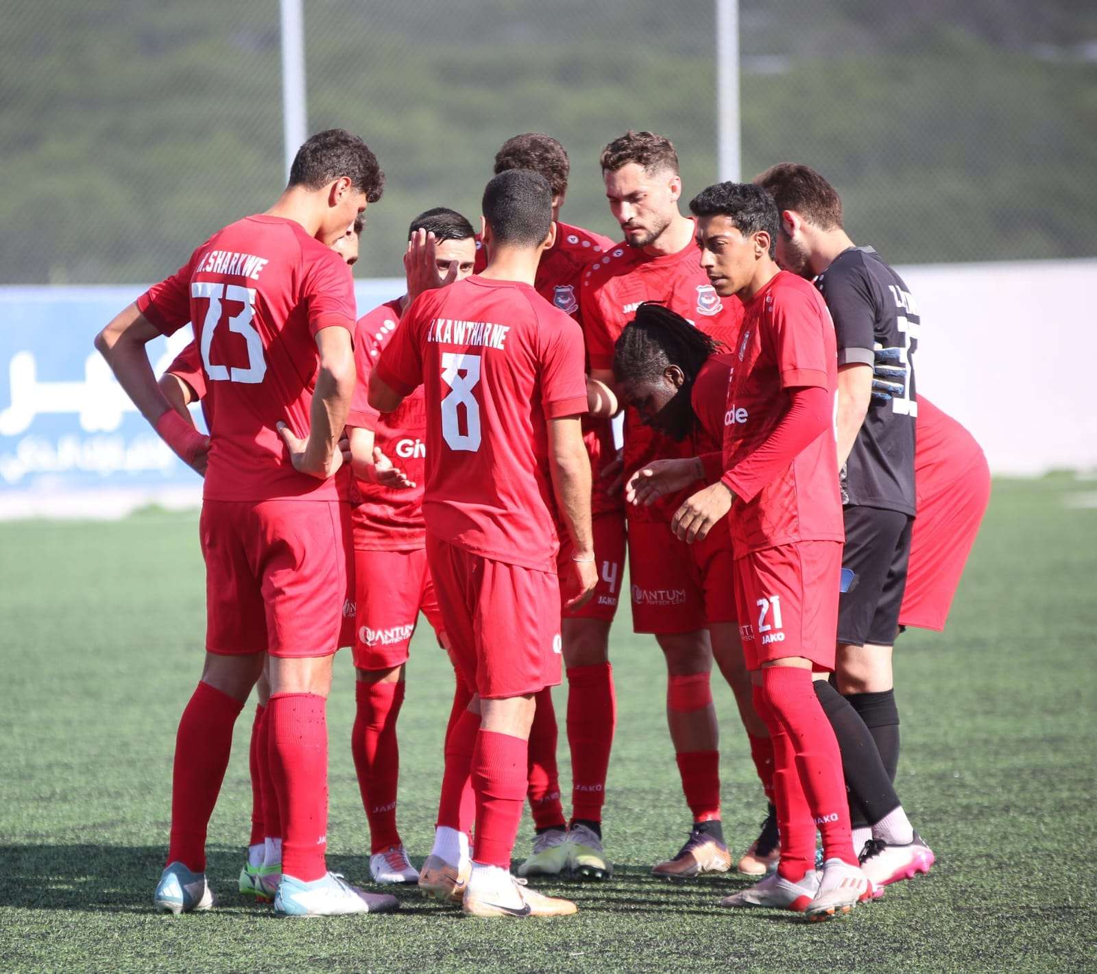 التضامن صور