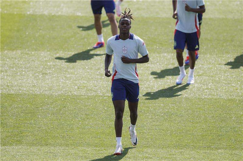 نيكو ويليامز