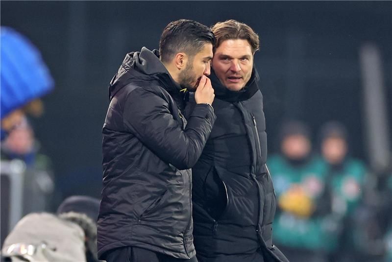 تيرزيتش ونوري شاهين