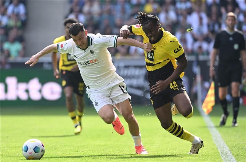 ستيفان لاينر