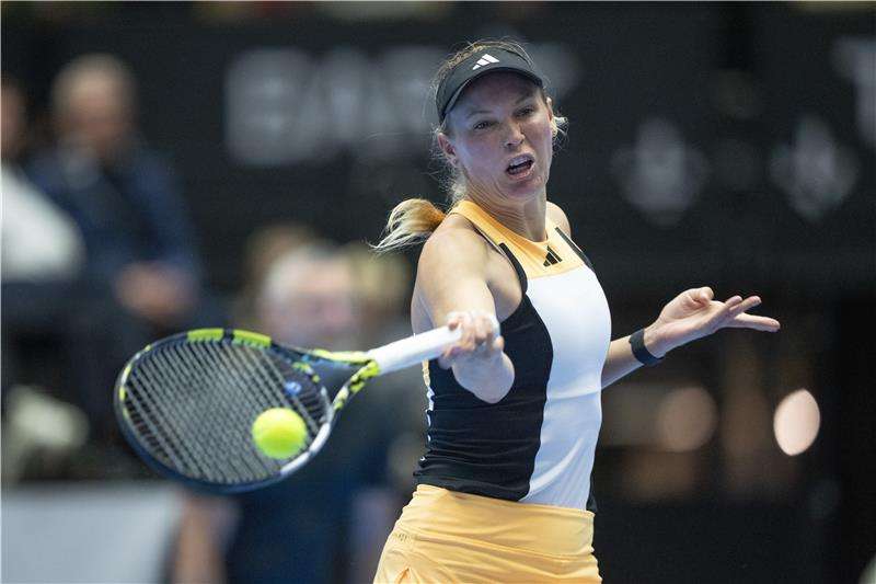 كارولين فوزنياكي