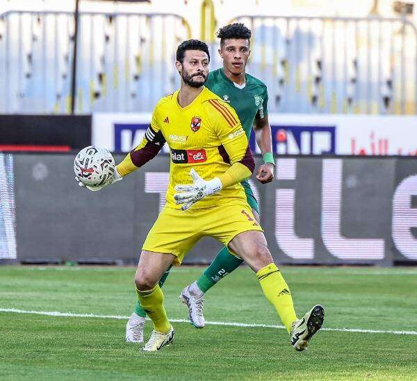 محمد الشناوي