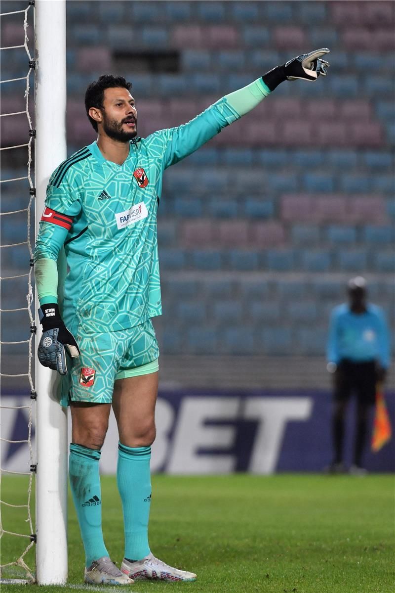 محمد الشناوي