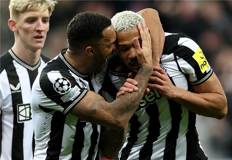 ويلسون مع لاعبي نيوكاسل