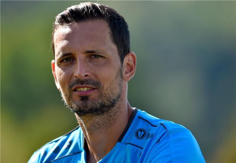 دينو توبمولر