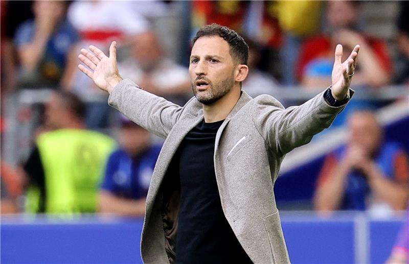 دومينيك تيديسكو