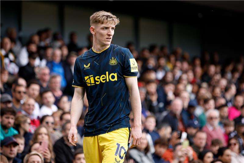 أنتوني جوردون