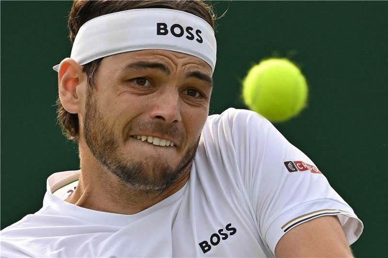 تايلور فريتز