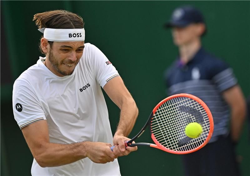 تايلور فريتز