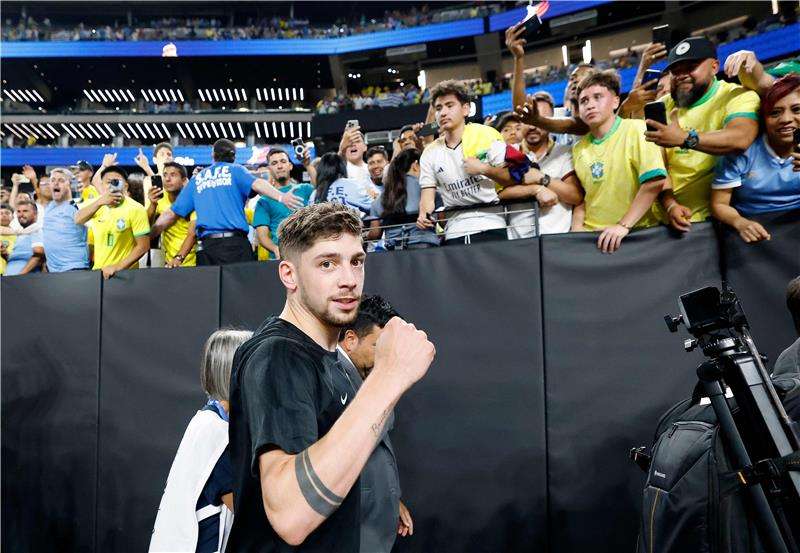 فيدي فالفيردي