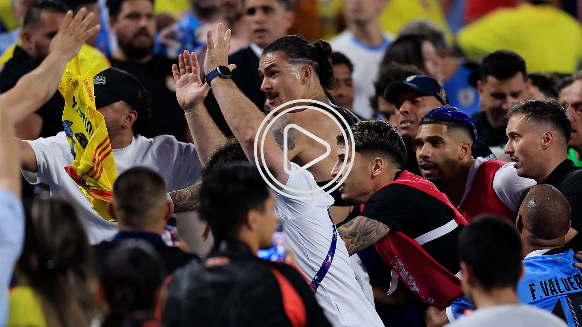 d5e25809-2abd-49f0-98e9-e6e38944636a