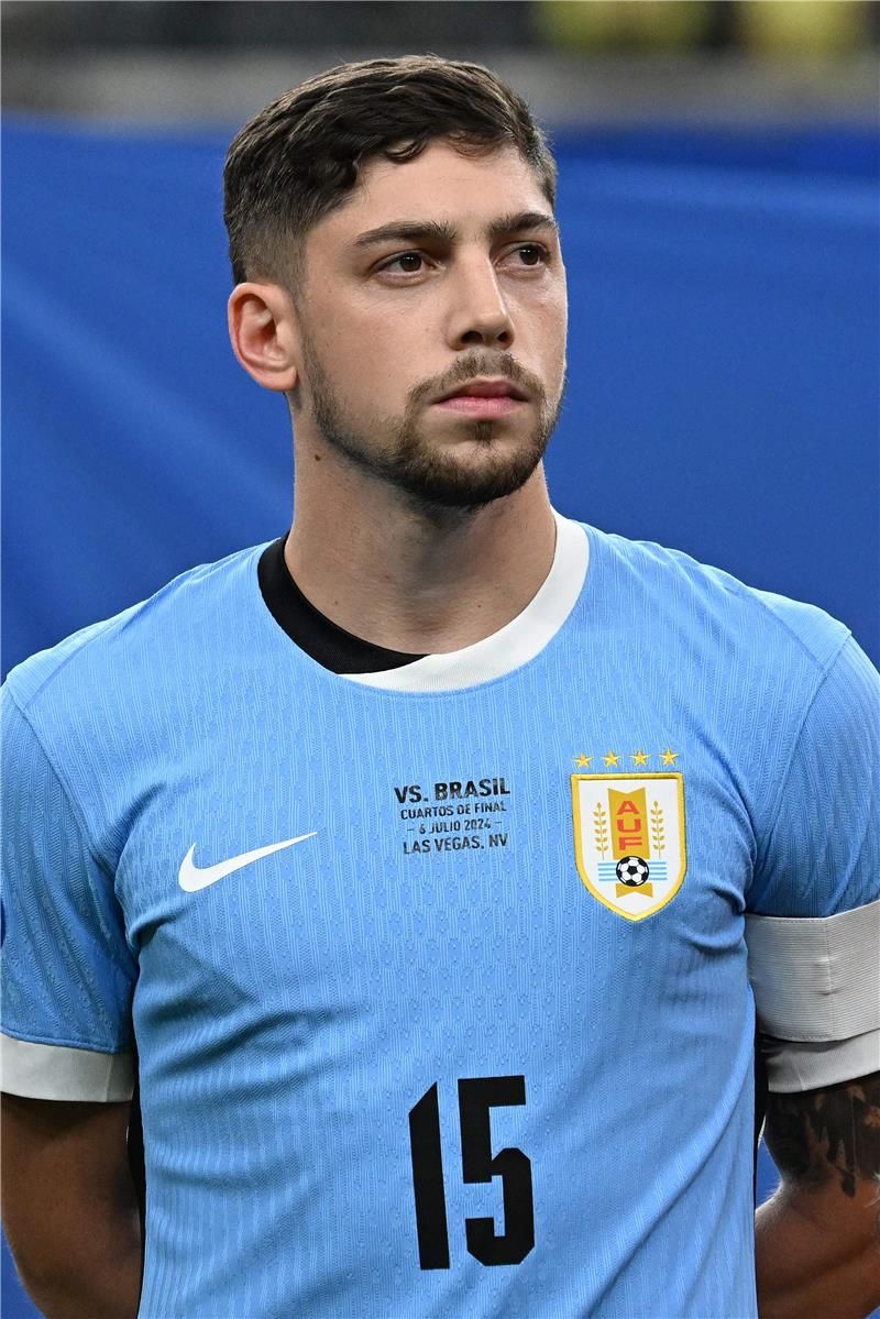 فيدي فالفيردي