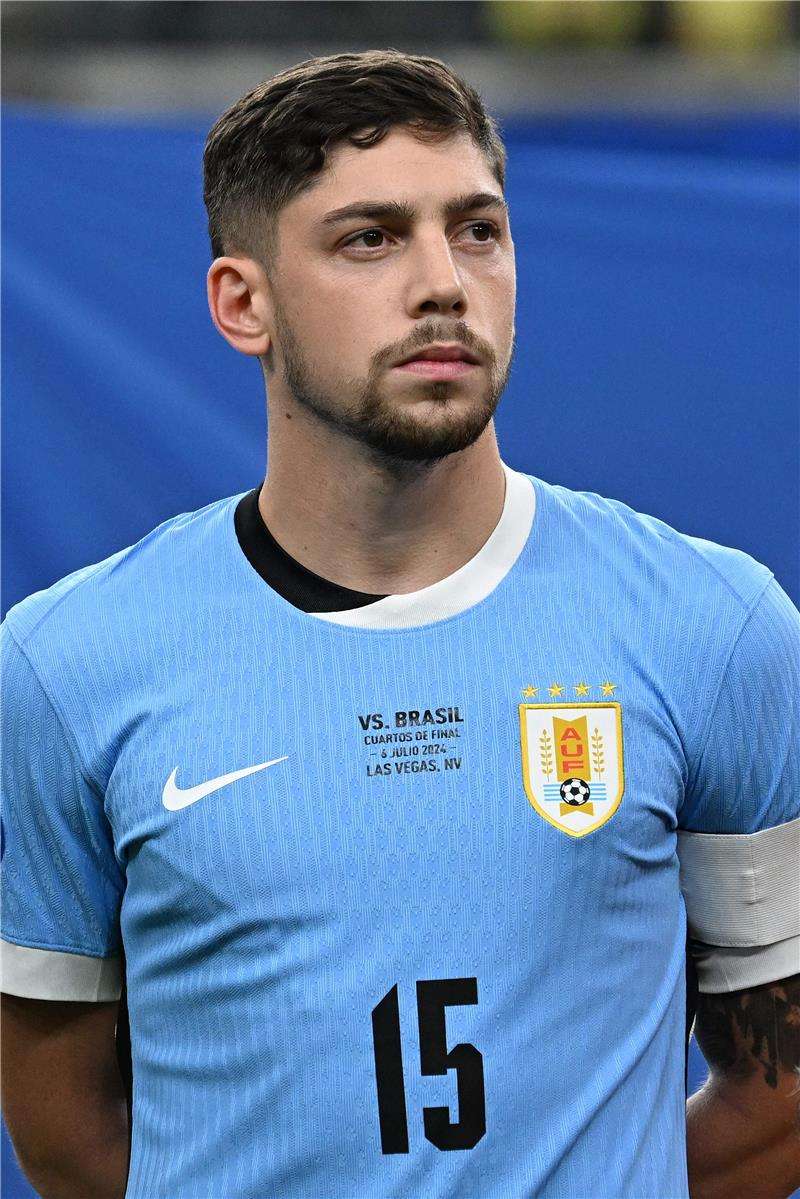 فيدي فالفيردي