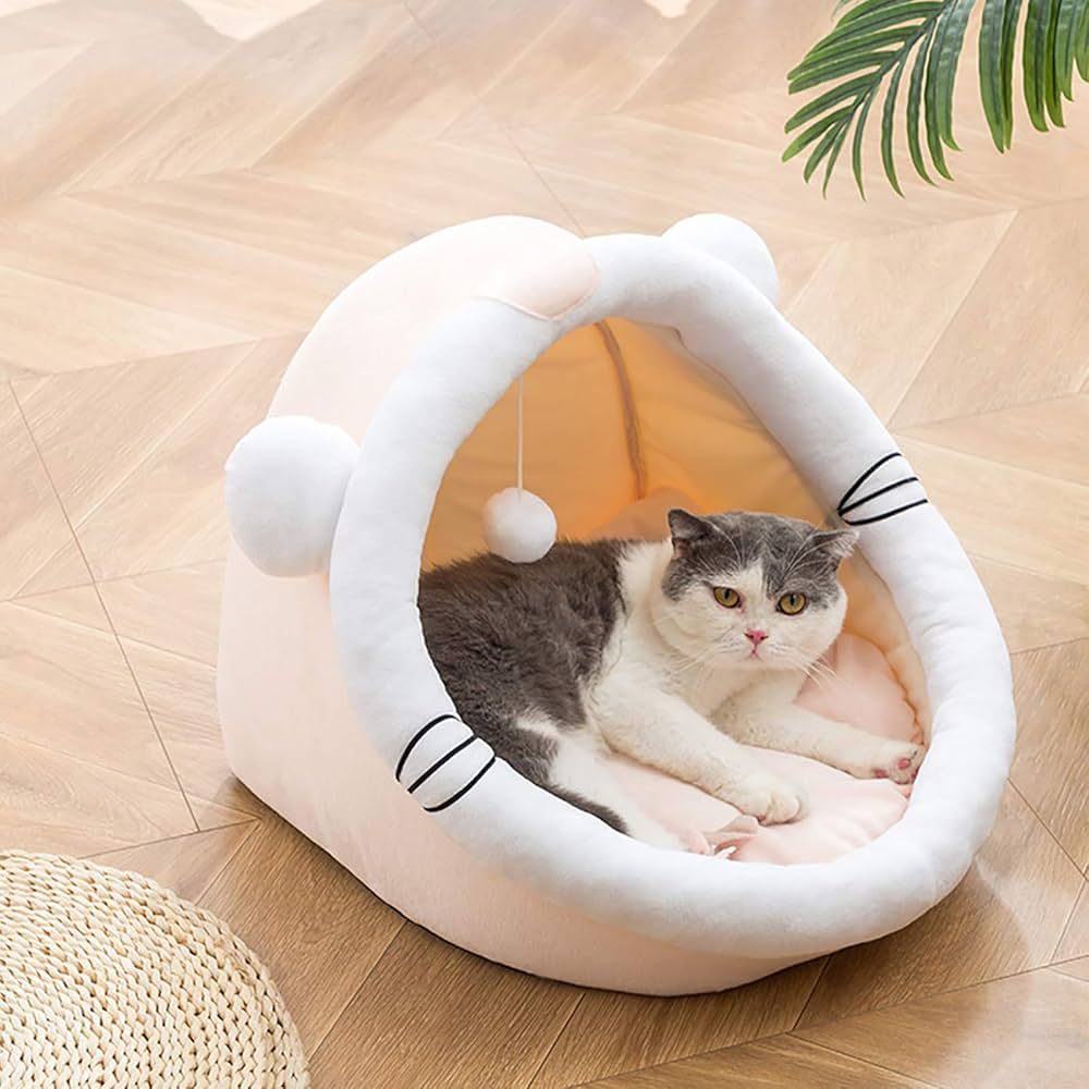 71I-rgLMW0L._AC_UF1000,1000_QL80_