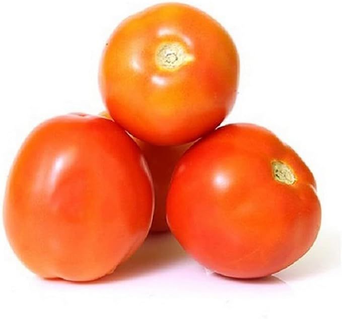 513siiNy9VL._AC_SX679_