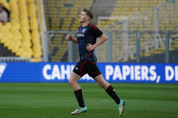 ايميل هويلوند