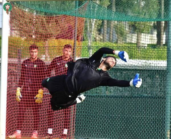 منير المحمدي