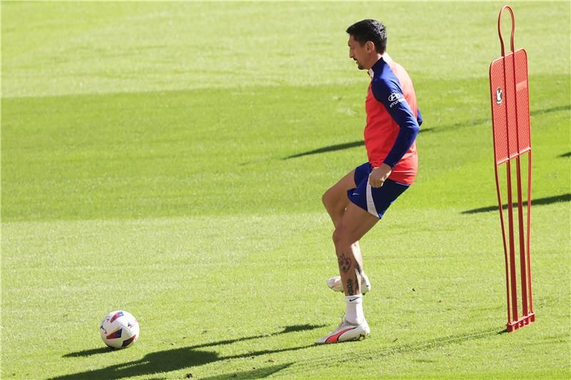 ستيفان سافيتش