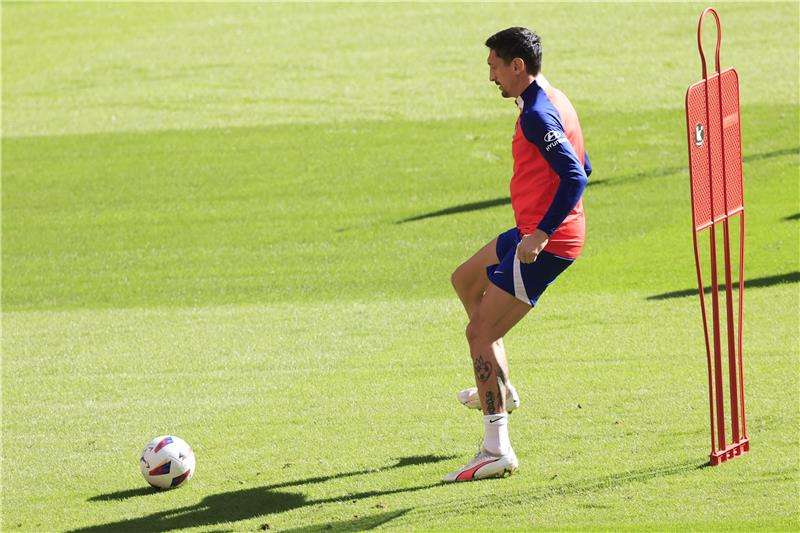 ستيفان سافيتش