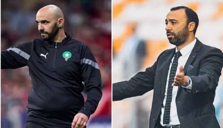 وليد الركراكي والسكتيوي