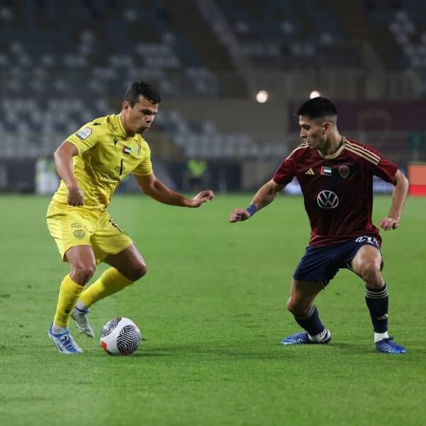 koo_527941
