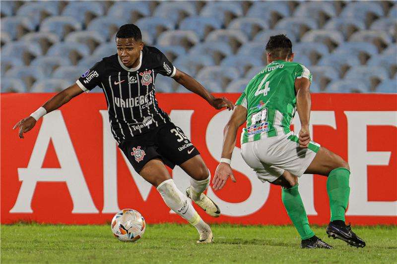 ويسلي جاسوفا