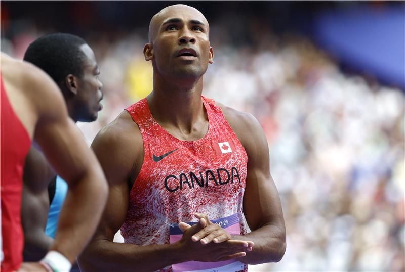 داميان وارنر