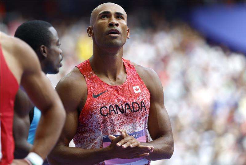 داميان وارنر